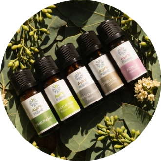 Discovery Bundle light 4+1