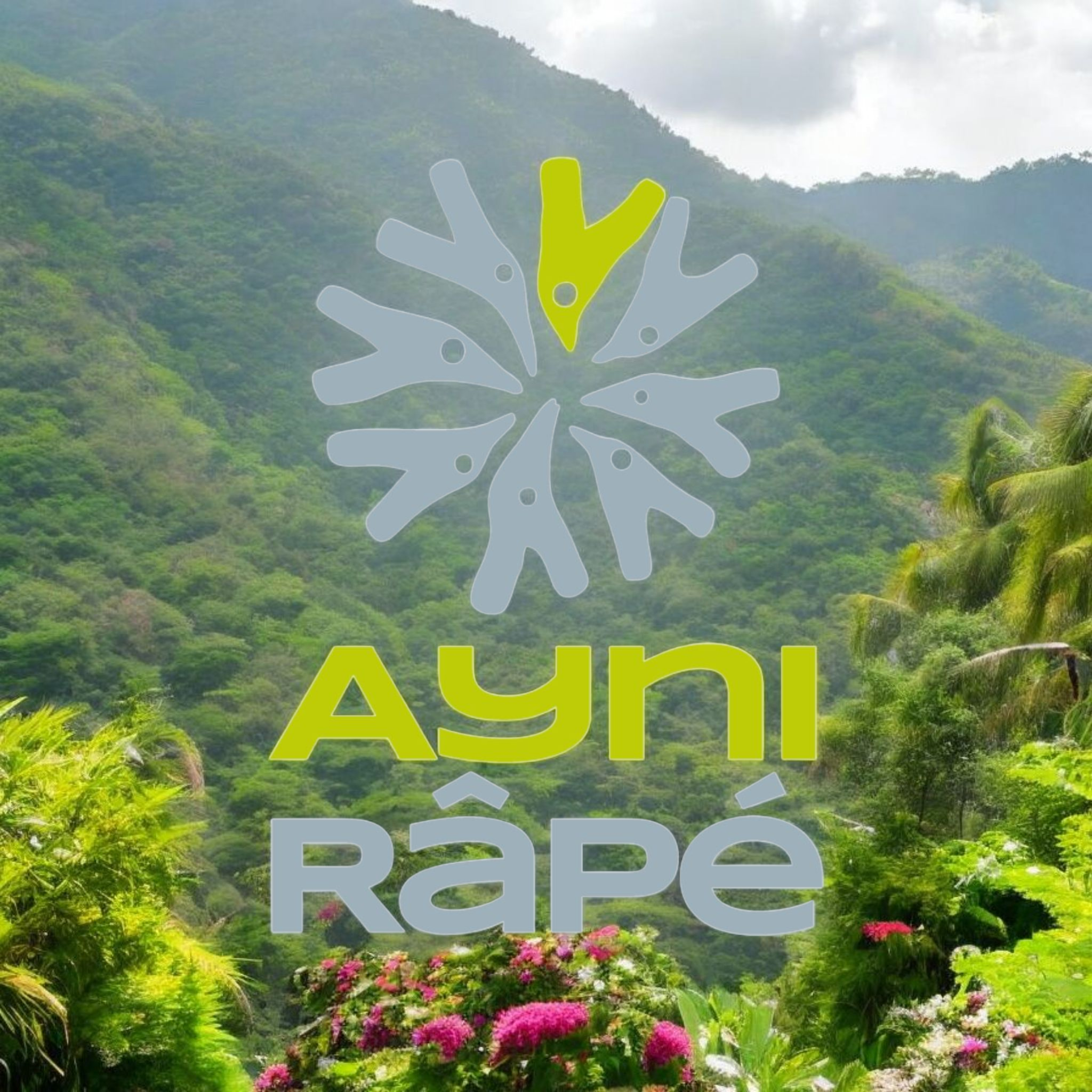 AyniRape